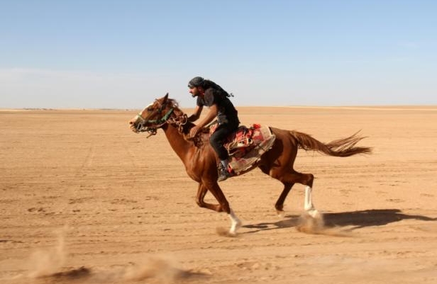 arab on horse