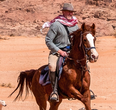 arabian equestrian