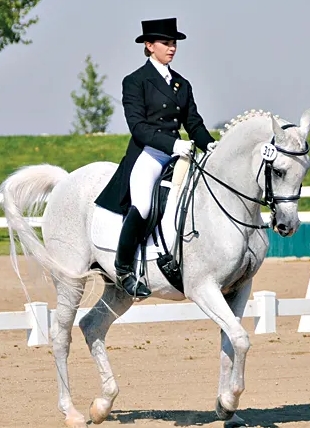 arabian dressage horse