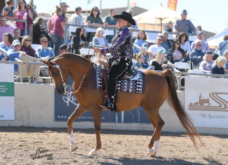 2022 arabian horse show