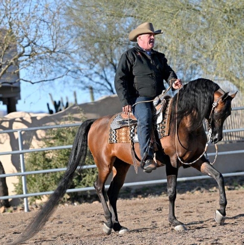 2023 scottsdale arabian horse show