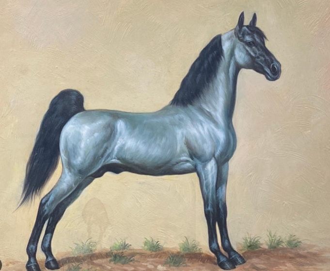 arabian horse art for sale