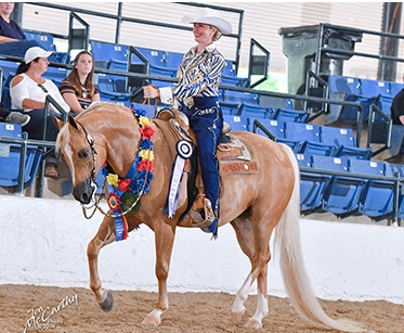 arabian horse western pleasure