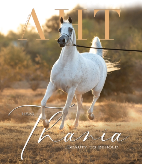 arabian horse magazines