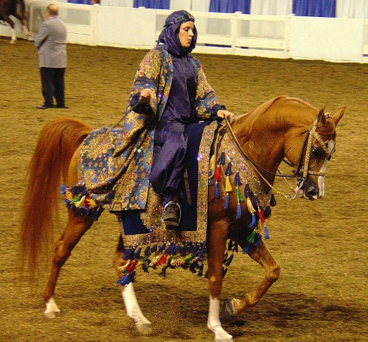 arabian horse native costume