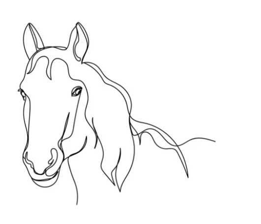 arabian horse lines