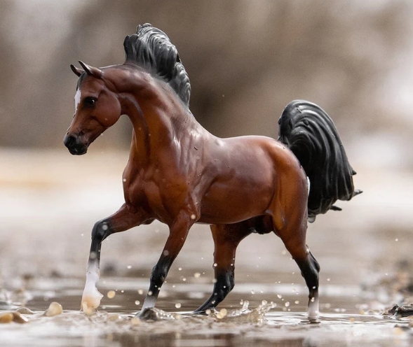 arabian horse model