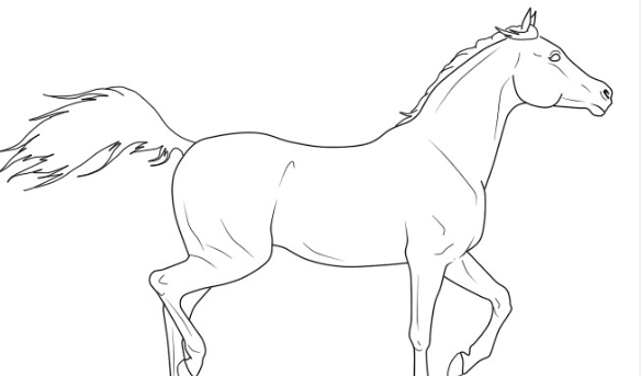 arabian horse line art