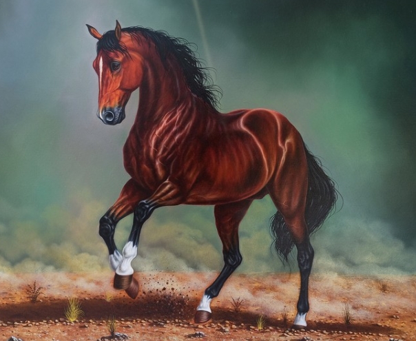 arabian horse paintings for sale