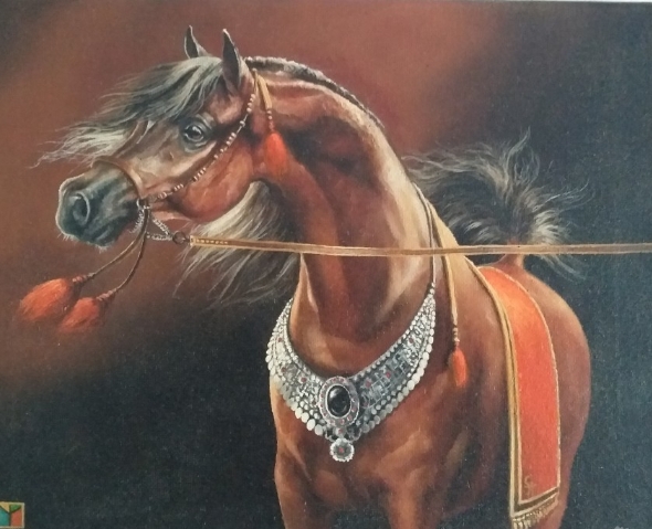 arabian horse organization