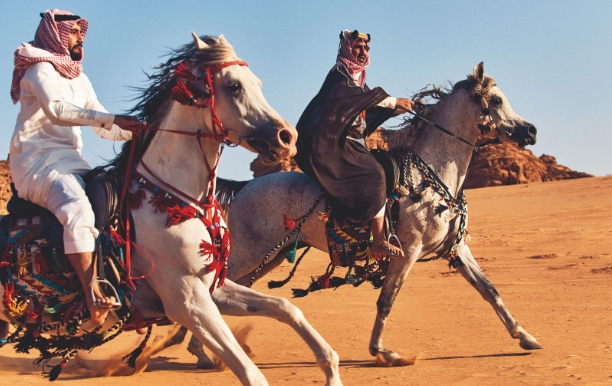 arabian horses assouline