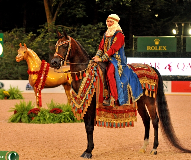 arabian horse show costume