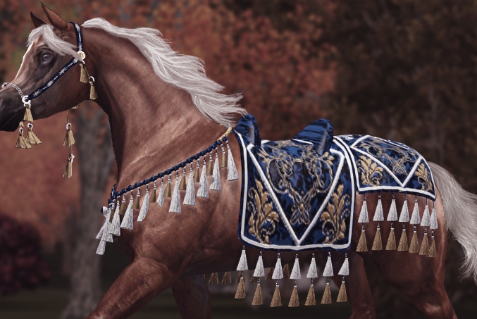 arabian horse supplies