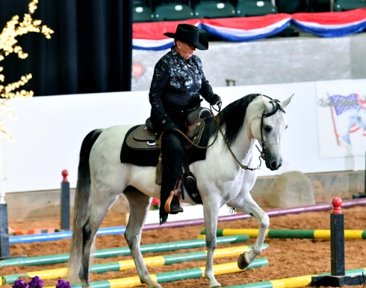 arabian horse show near me