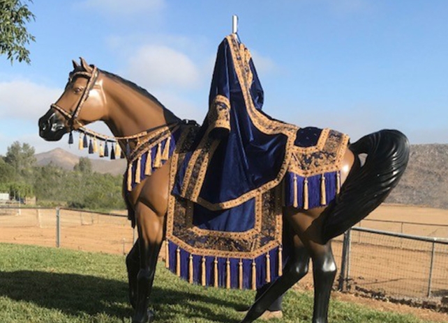 arabian mounted native costume