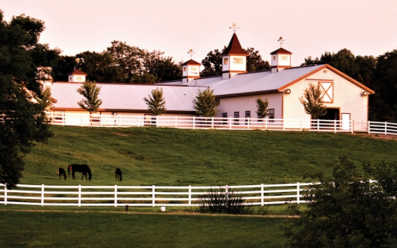 arabian horse ranch