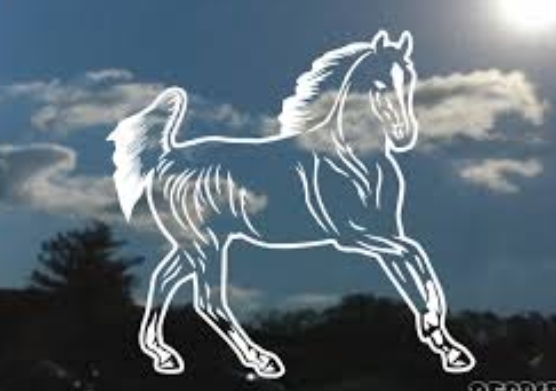 arabian horse decal