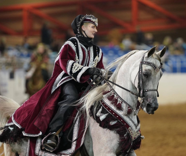 arabian horse native costume for sale