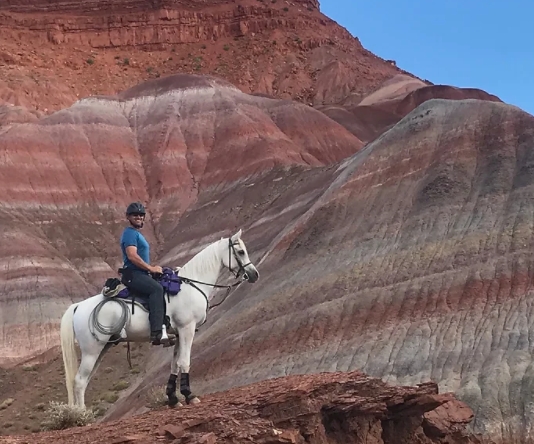 arabian horse trail riding