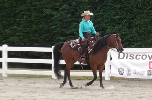 arabian ranches horse riding