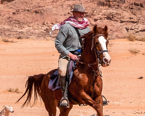 arabian ranch riding