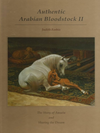 authentic arabian bloodstock