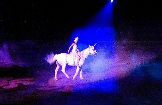 arabian nights horses