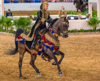 arabian native costume