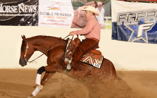 arabian reining horse for sale