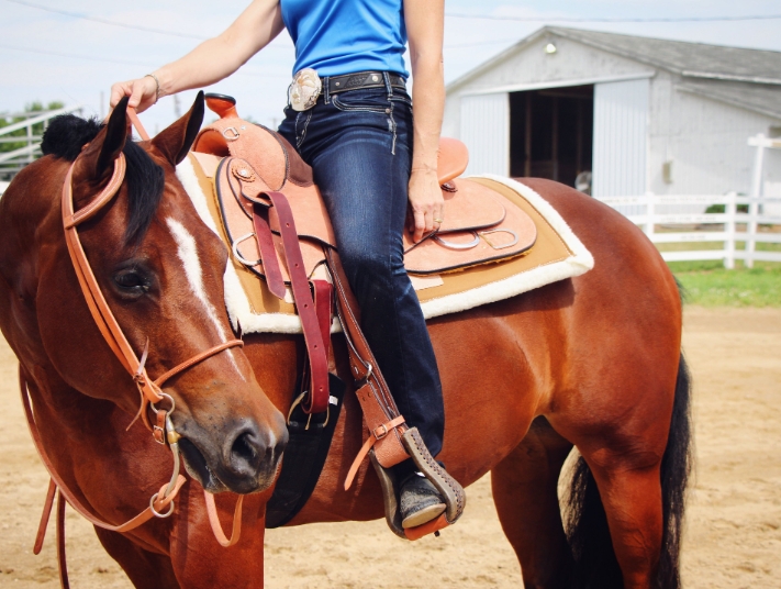 billy royal arabian saddle