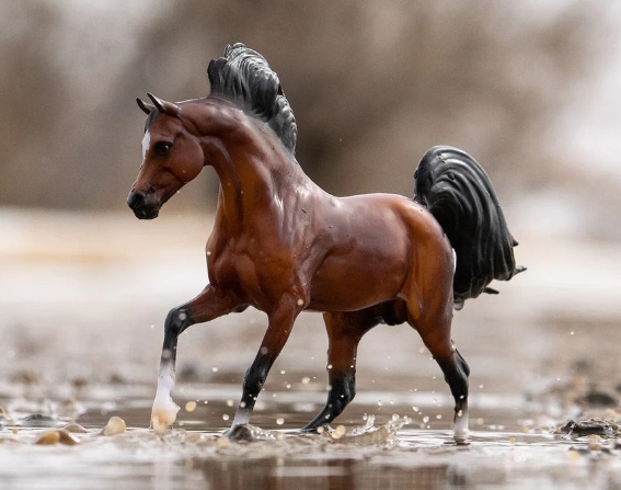 breyer bay arabian