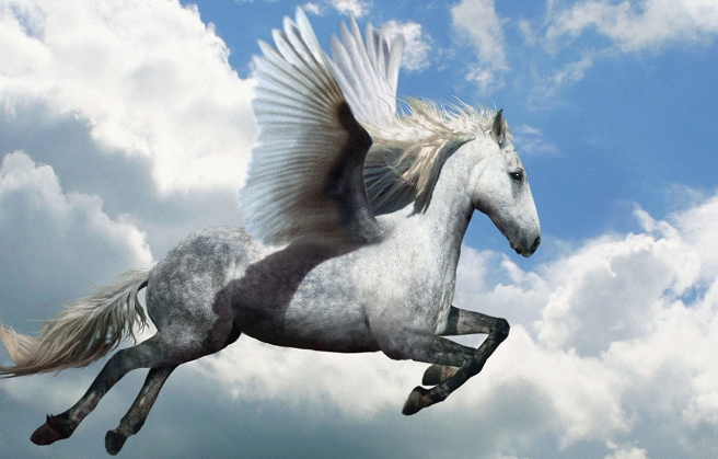 a winged horse