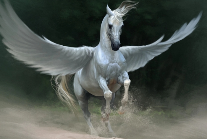 a winged horse