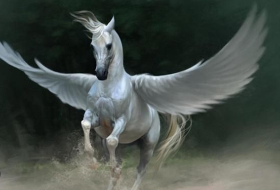 a Winged Horse