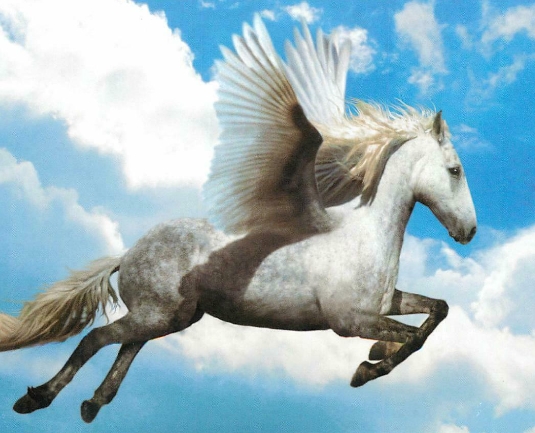 a Winged Horse