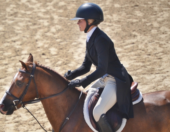 horse riding helmet