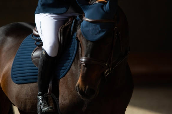 toscana equestrian