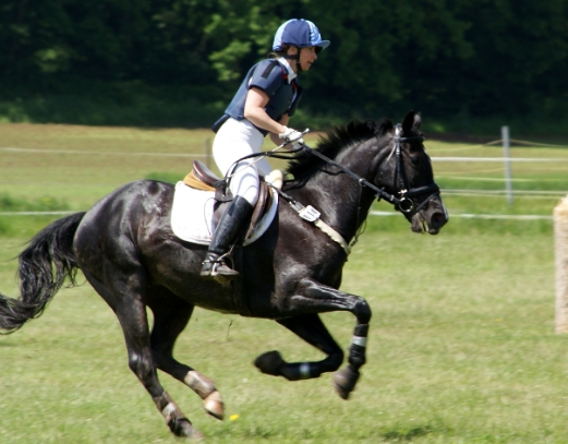 black horse equestrian